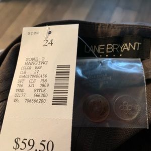 Pair of Lane Bryant Pant